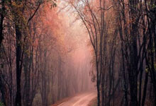 华体会：[天下足球]客场战平尼斯 大巴黎让出榜首.