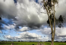 华体会：[NBA]三分对决 雷霆收获七连胜.