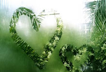 华体会:戈芬 耕耘 罗兰加洛斯之王.