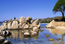 巴列卡诺2-2皇家社会,苏比门迪、马里耶斯库雷纳破门.